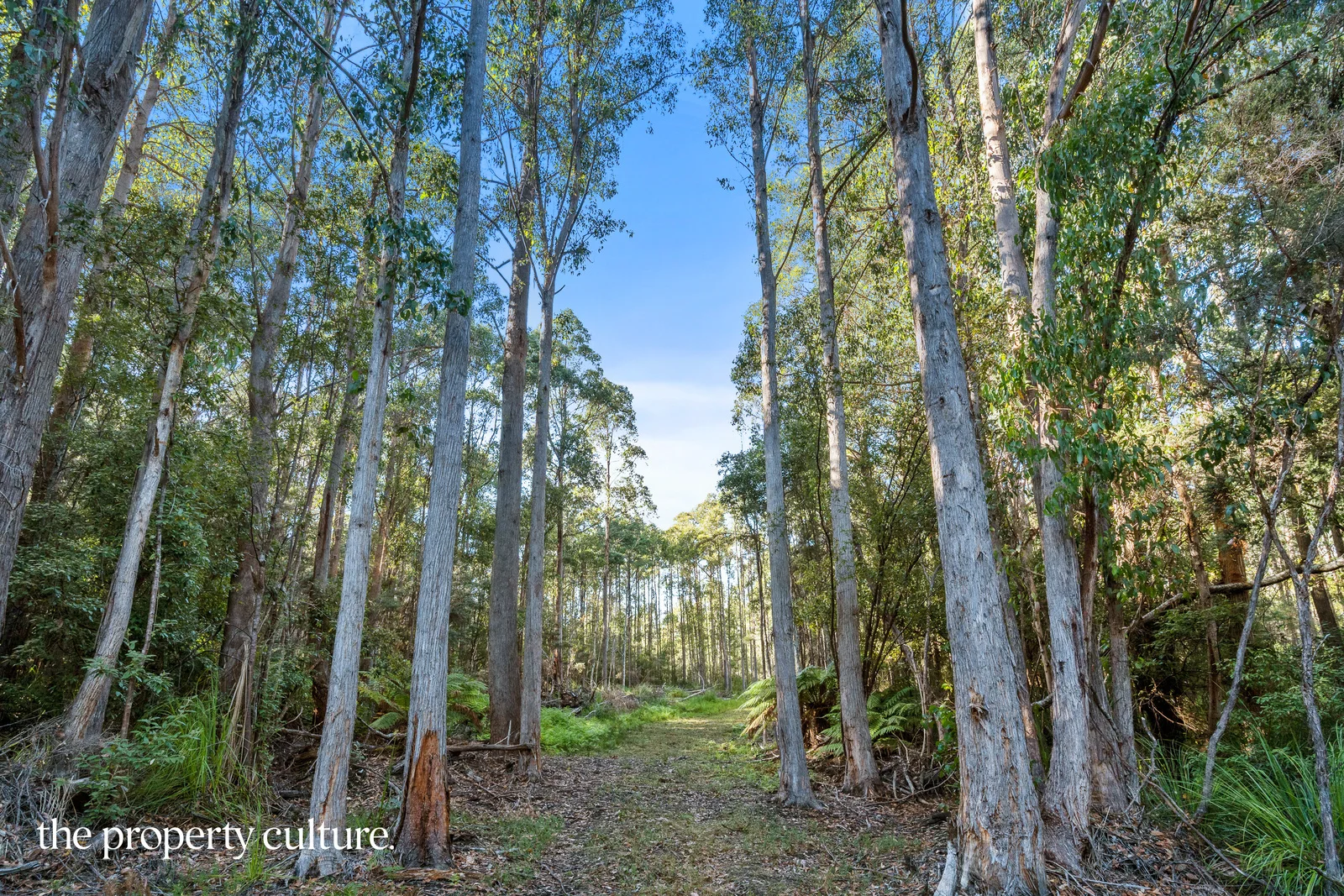 Additional image 13 of 2 Deering Street, Franklin TAS 7113