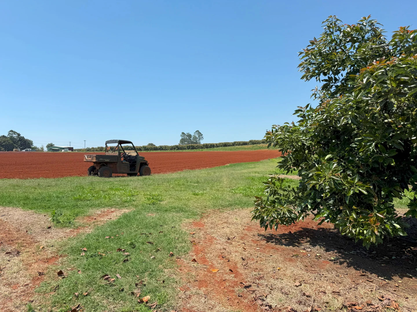 Additional image 66 of 767 Peeramon Road, Peeramon QLD 4885