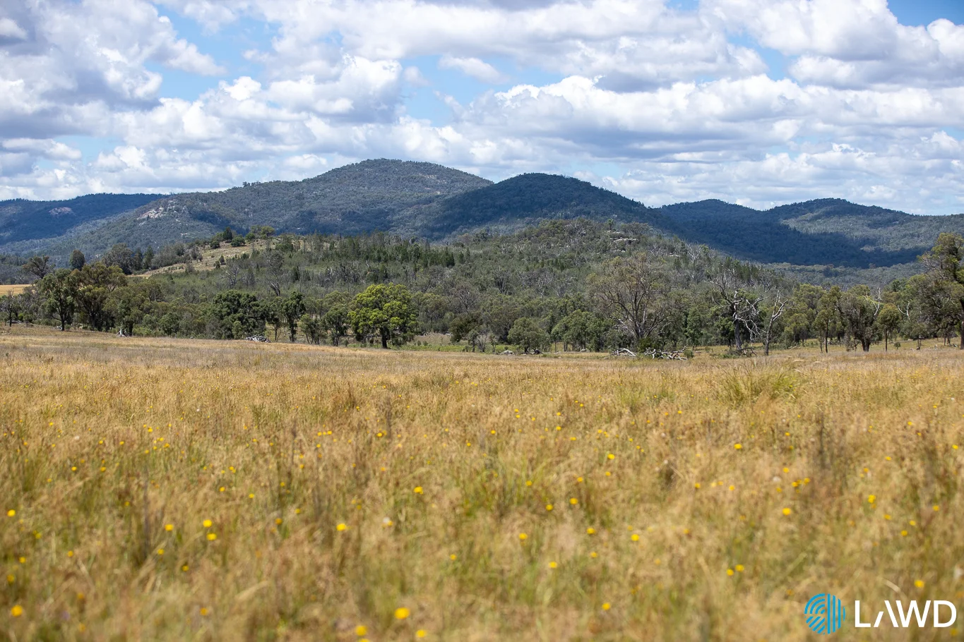 Additional image 5 of 742 Bendemeer Road, Kingstown NSW 2358