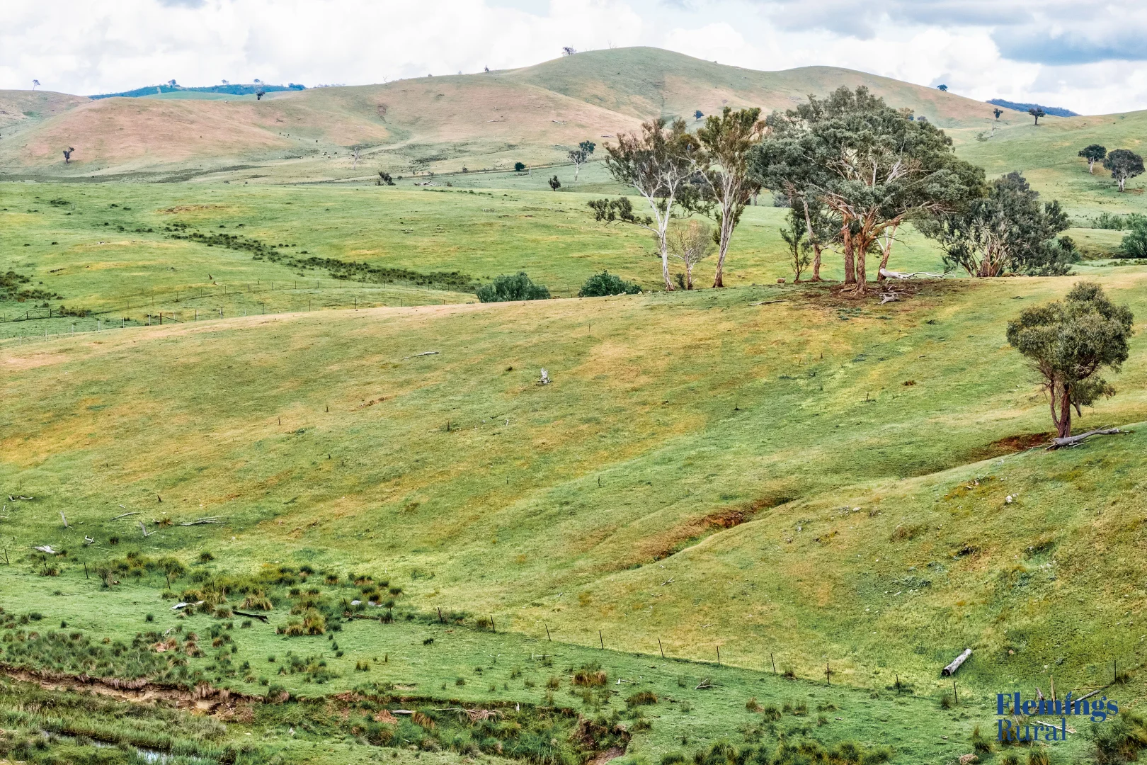 Additional image 15 of 1479 Grassy Creek Road, Rugby NSW 2583