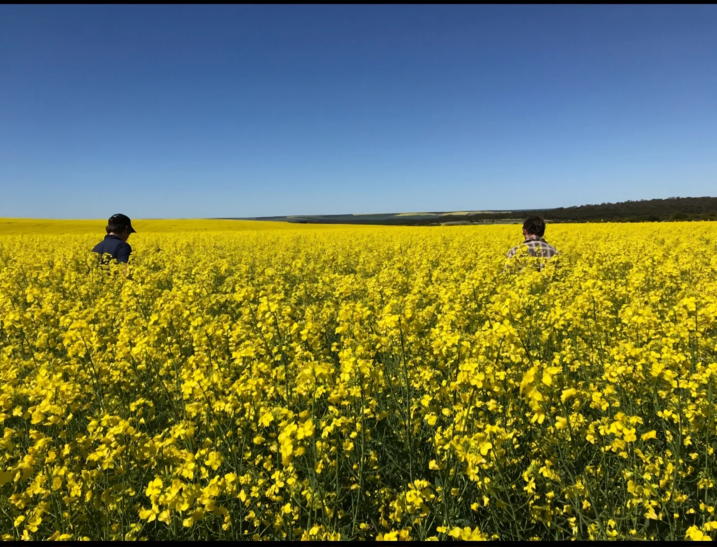 Additional image 2 of Valentine Road, Wicherina WA 6532