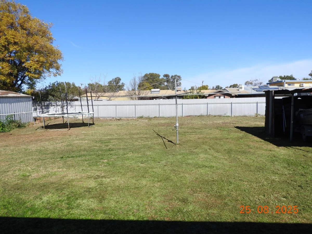Additional image 20 of 172 Lily Street, Balranald NSW 2715