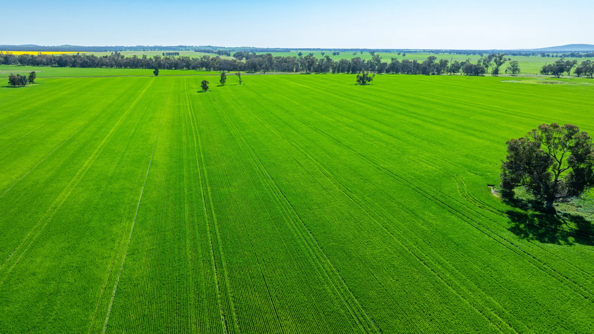 Additional image 4 of 153 Balldale-Coreen Road, Corowa NSW 2646