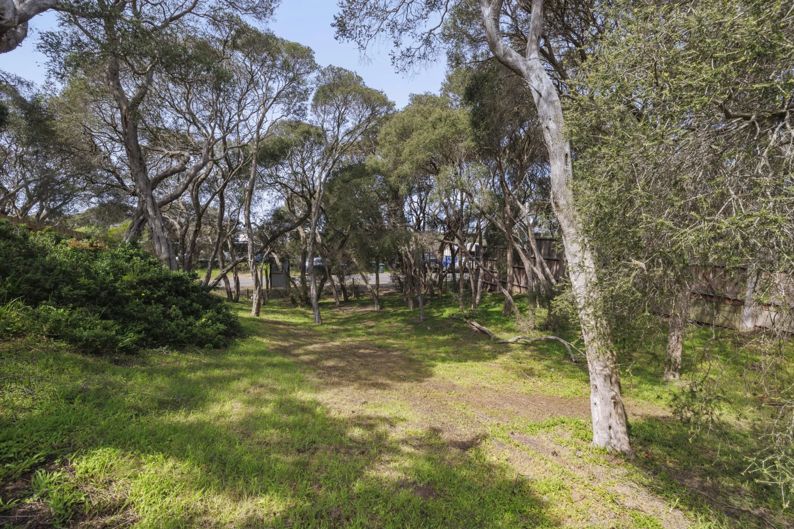 Additional image 8 of 38 Francis Street, Rye VIC 3941