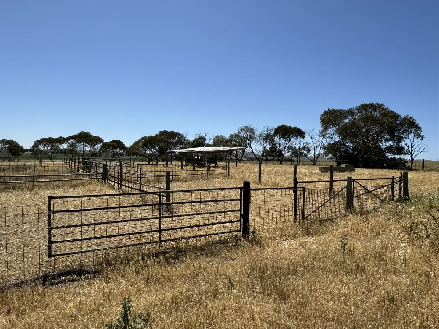 Additional image 36 of 1 Tohls Road, Booborowie SA 5417