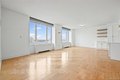 Additional image 23 of 220 Riverside Blvd Apt 19L, New York, NY, 10069