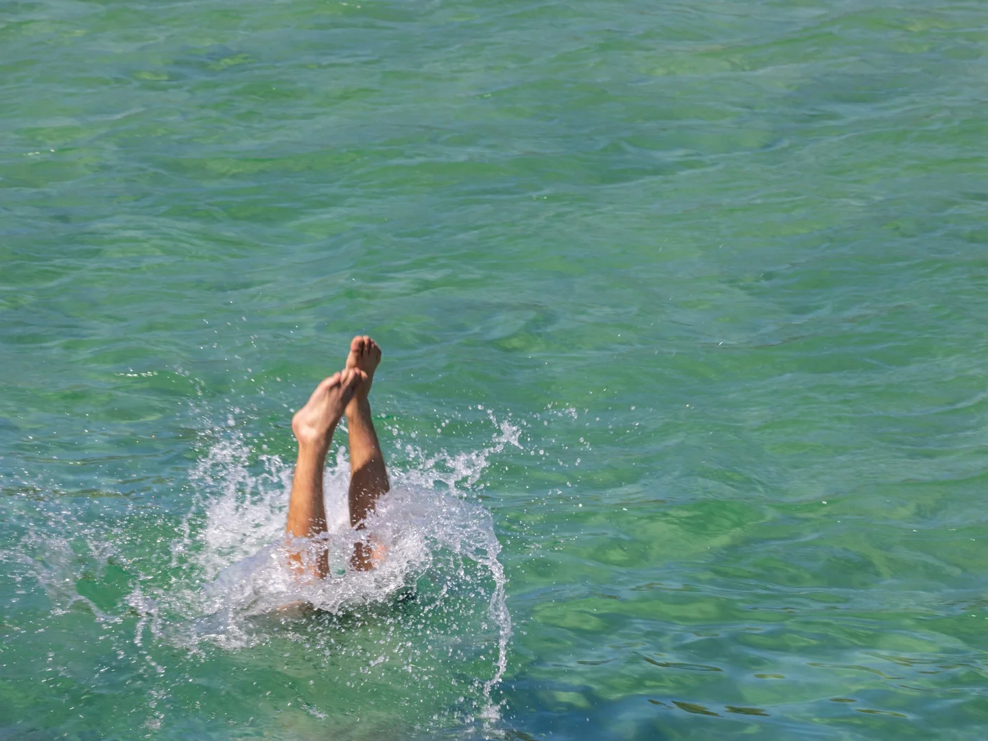 Additional image 10 of 16 Habitat Drive, Casuarina NSW 2487