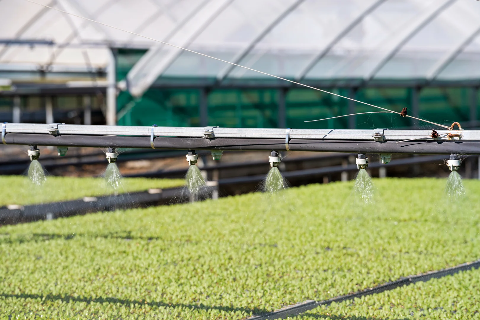 Additional image 25 of "Westview" 189 Toowoomba-Karara Road, Finnie QLD 4350