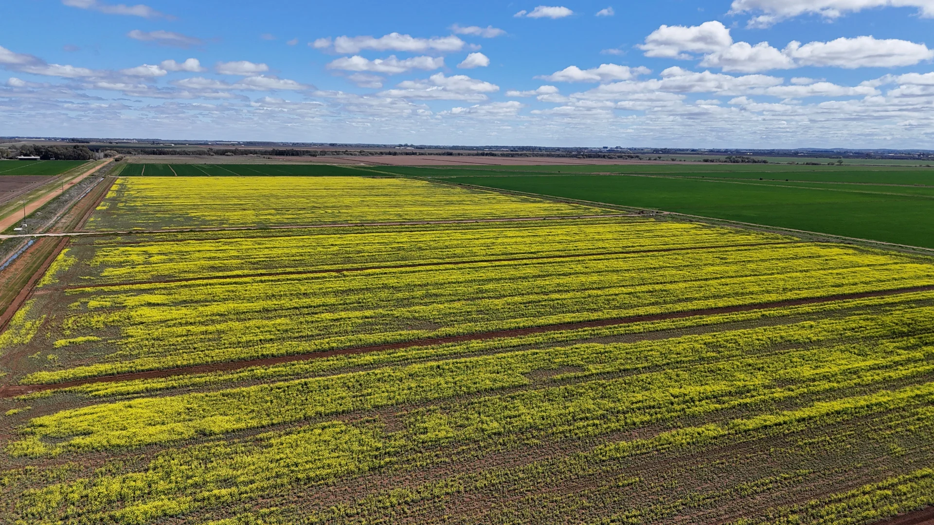 Additional image 6 of Farm 2526/408 Cashmere Road, Widgelli NSW 2680