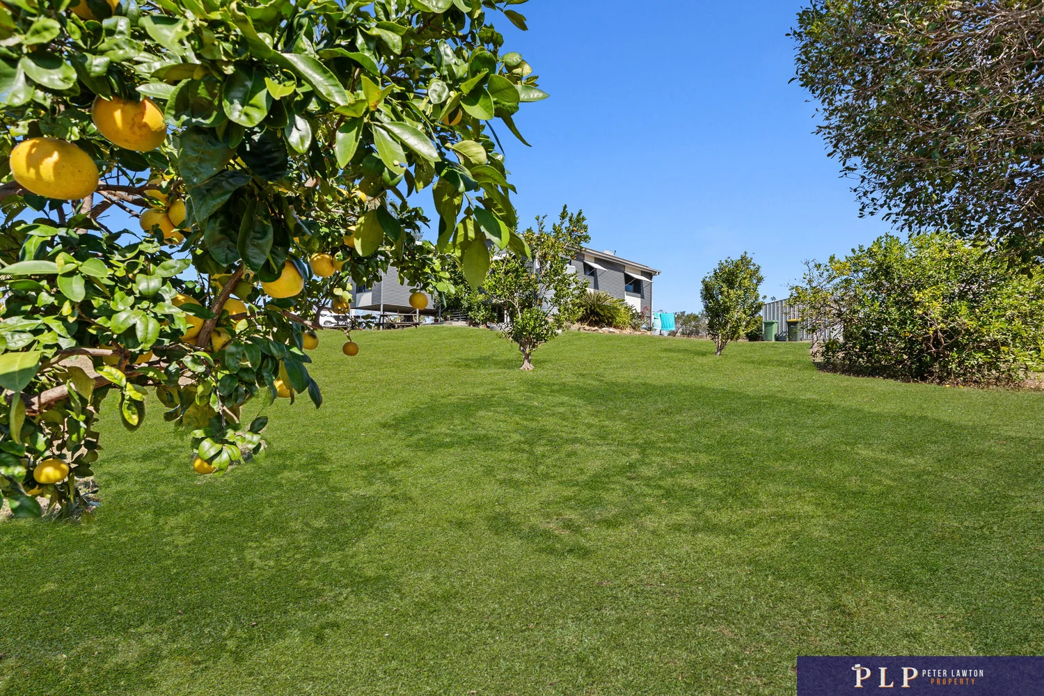 Additional image 24 of 201 Africandar Road, Bowen QLD 4805