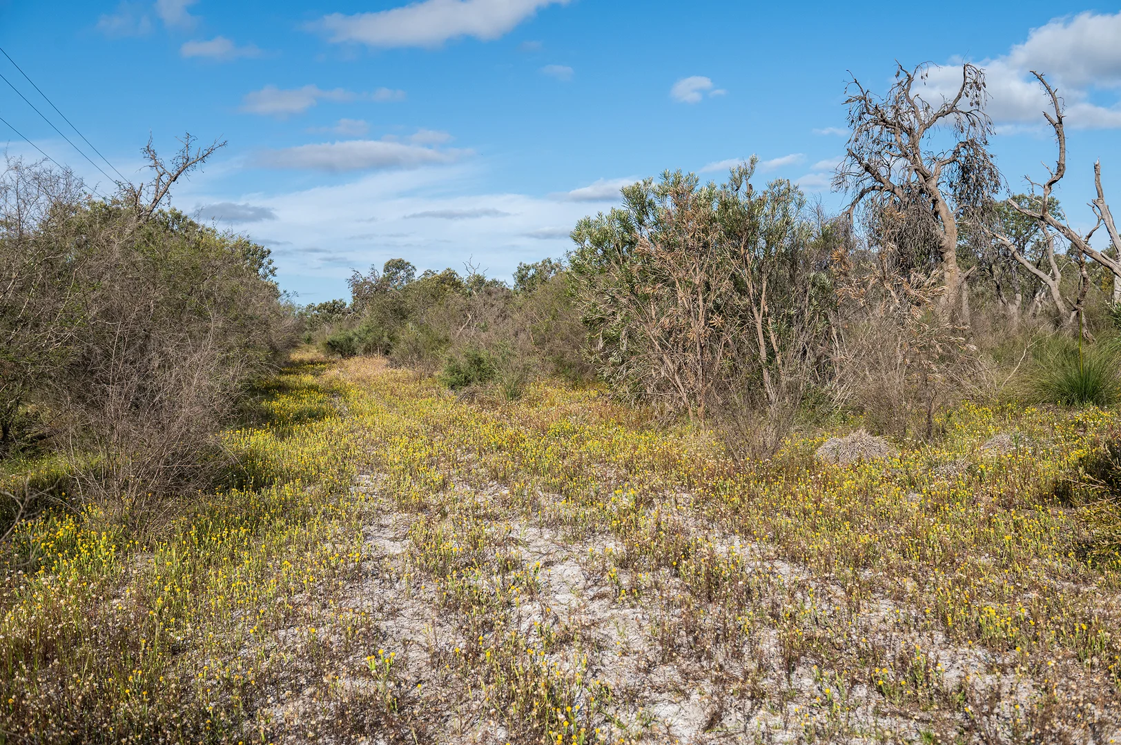Additional image 25 of 3691 Duffy Road, Bambun WA 6503