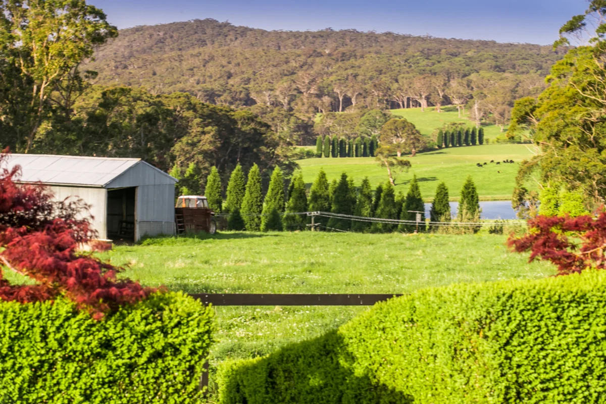 Additional image 4 of 355 Centennial Road, Bowral NSW 2576