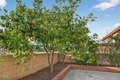 Additional image 39 of 4975 N Buttercreek Rd, Moorpark, CA, 93021
