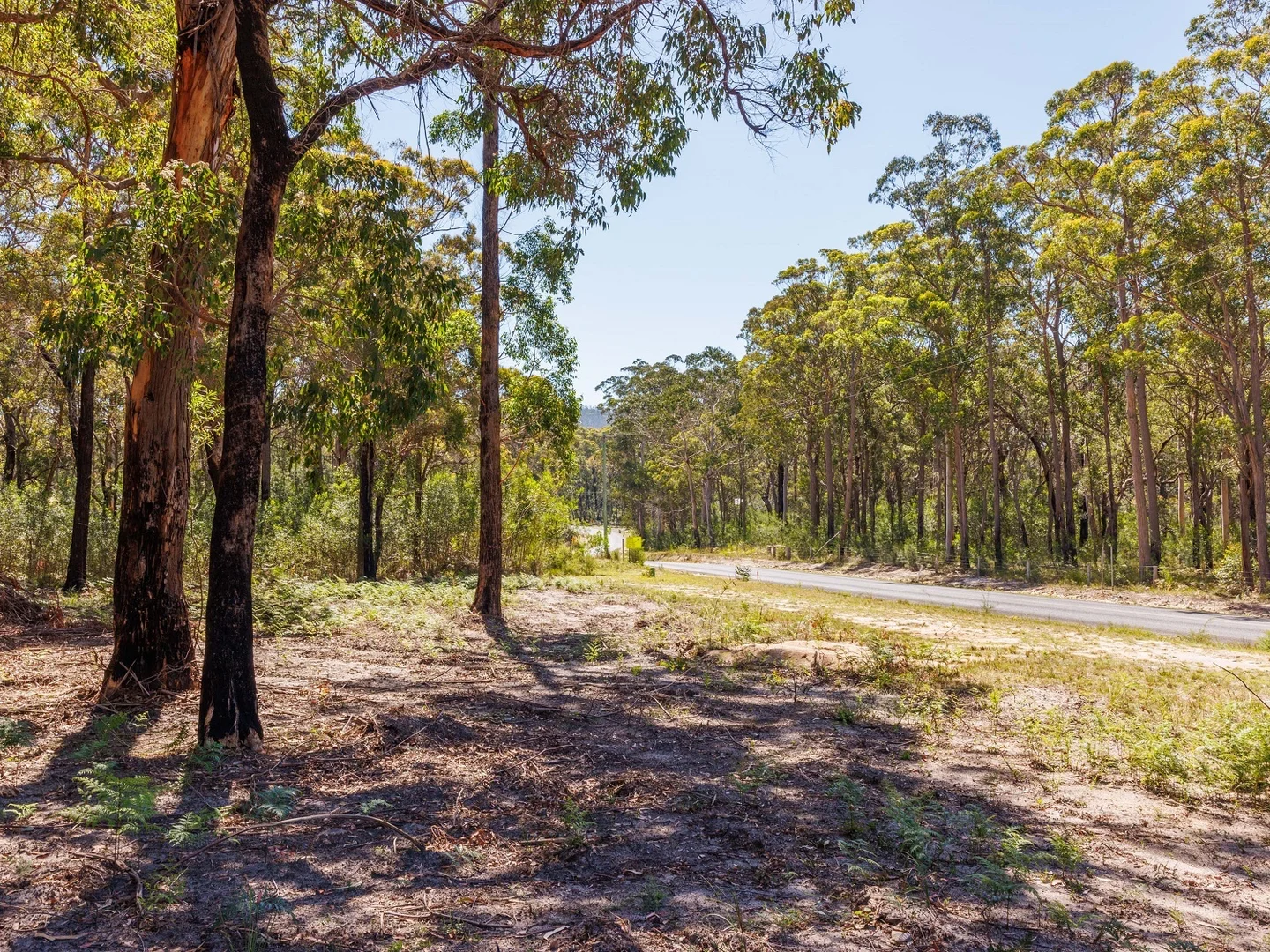 Additional image 3 of 72 Wonboyn Rd, Wonboyn VIA, Eden NSW 2551