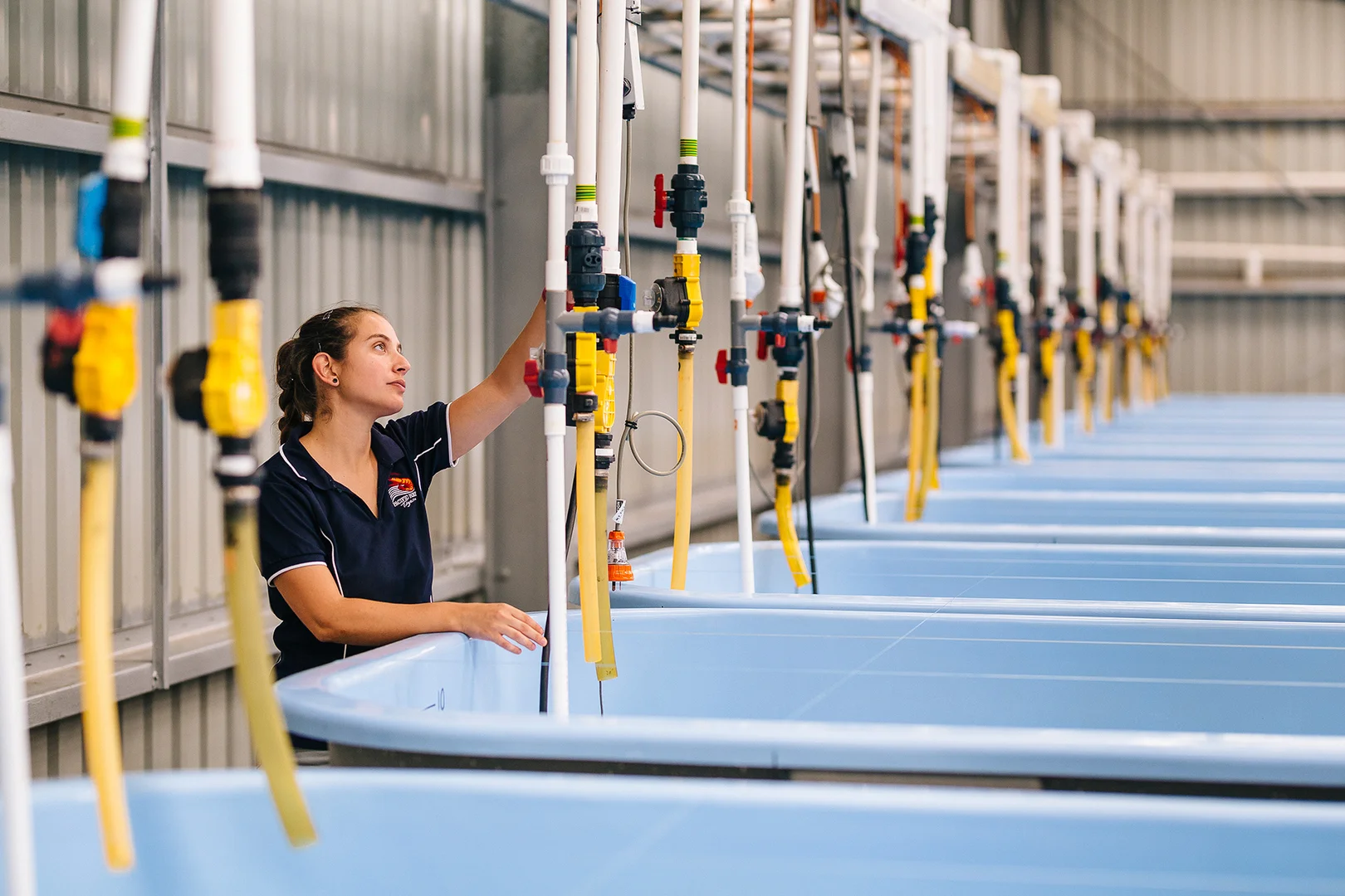 Additional image 9 of Alva QLD 4807