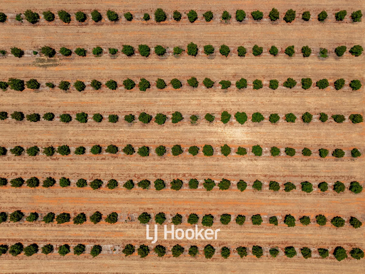 Additional image 9 of 73 Payne Road, Kaloorup WA 6280