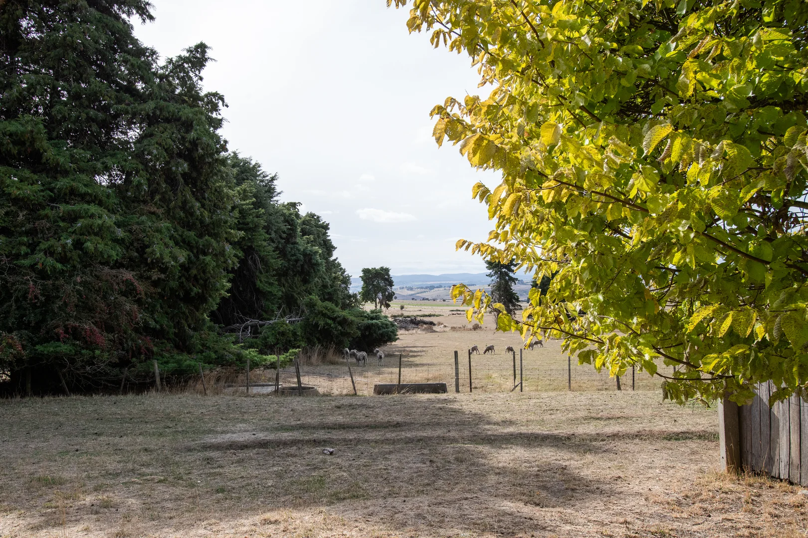 Additional image 3 of 924 White Hills Road, Evandale TAS 7212