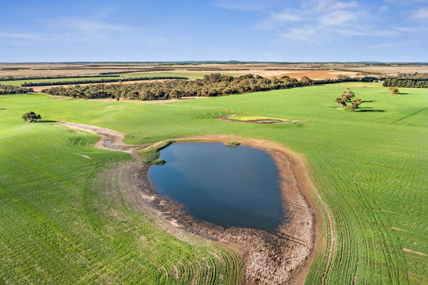 Additional image 9 of 1412 Bannockburn-Shelford Road, Teesdale VIC 3328