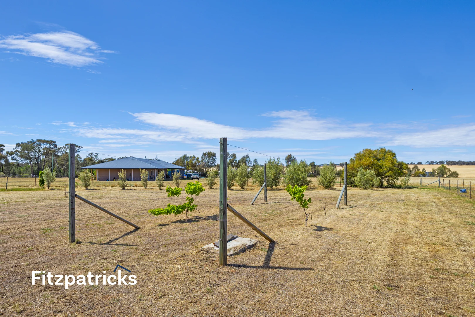 Additional image 33 of 1 Coopers Lane, Coolamon NSW 2701