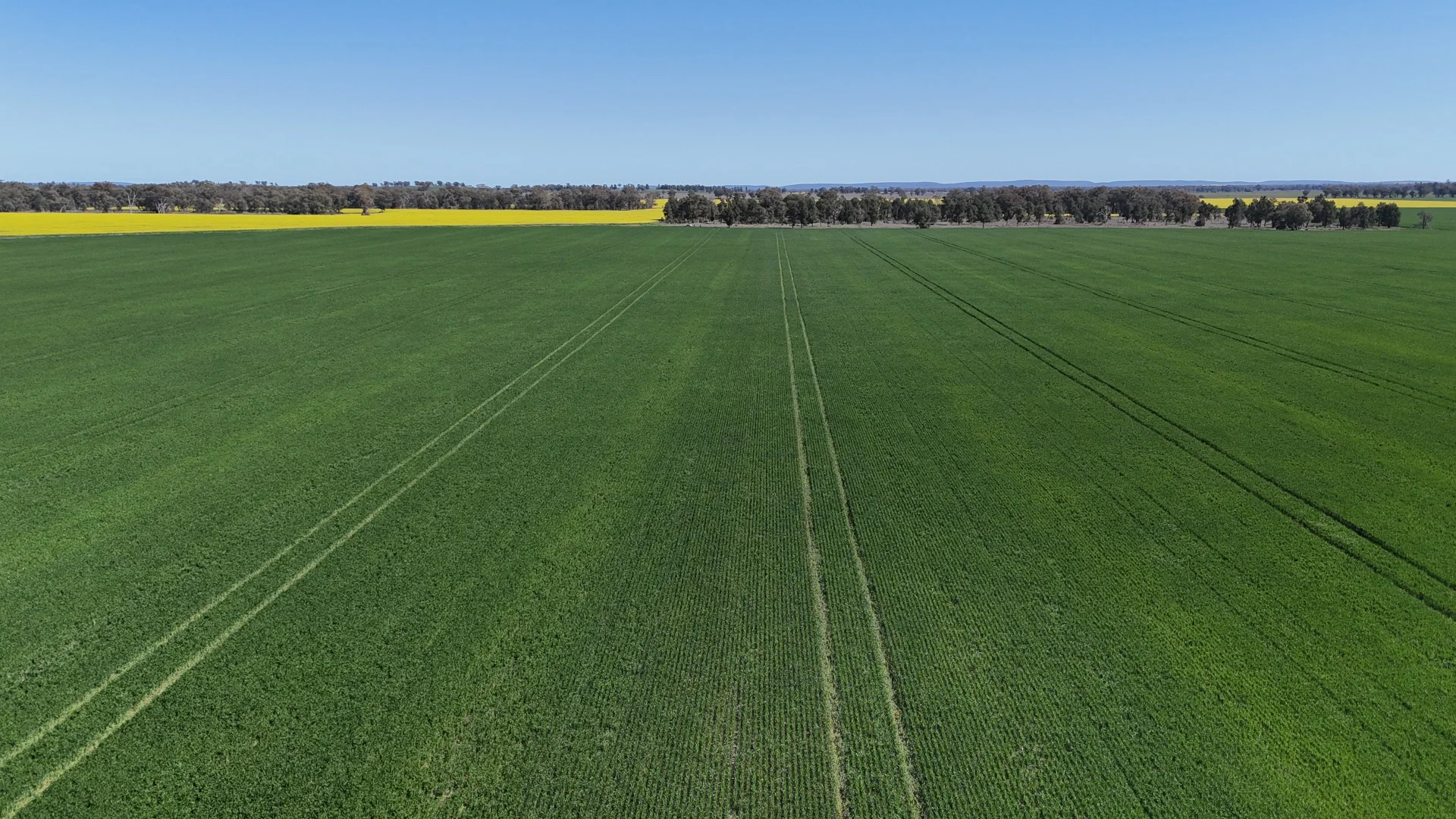 Additional image 13 of 92 Millers Lane, Parkes NSW 2870