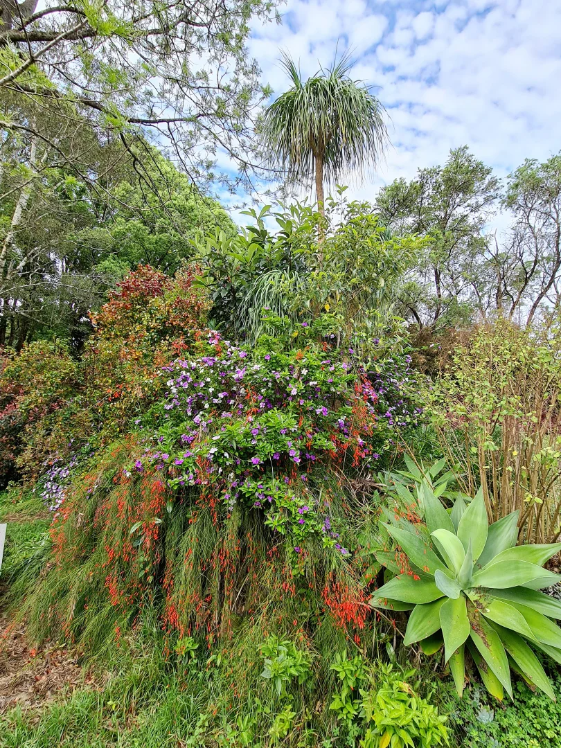 Additional image 35 of 5 Whian Whian Road, Dunoon NSW 2480