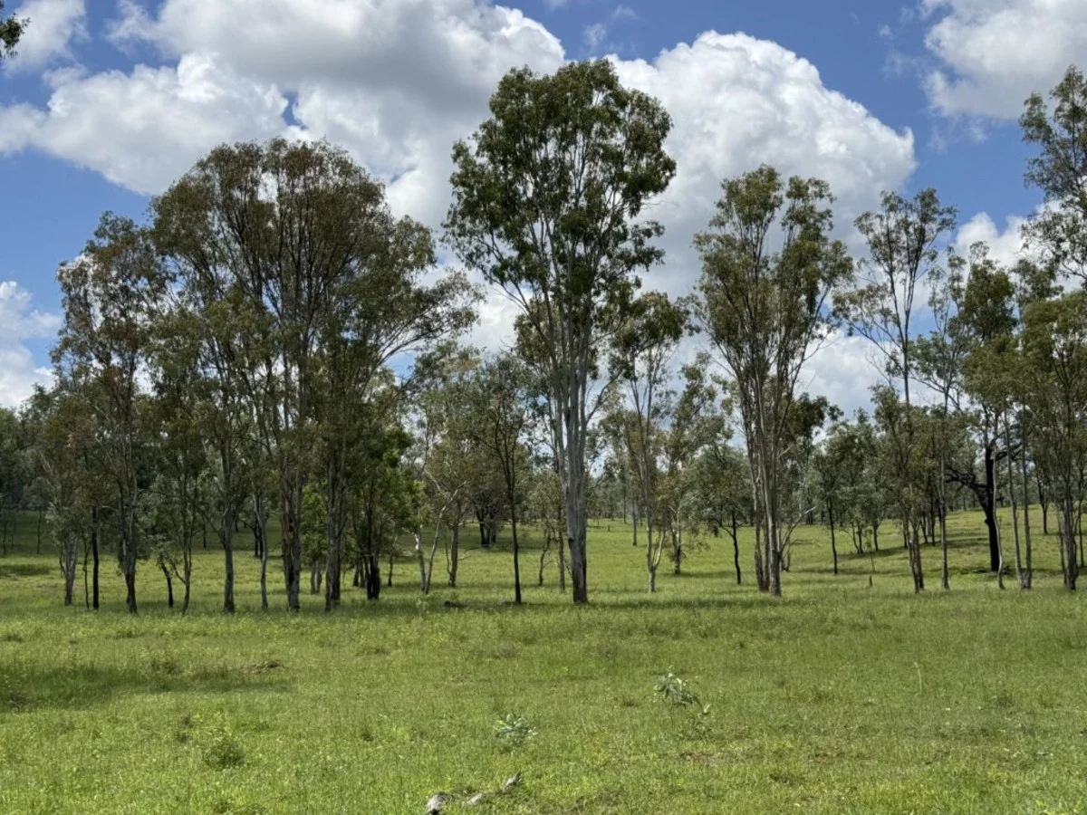 Additional image 41 of 2655 Clonmel Road, Monto QLD 4630