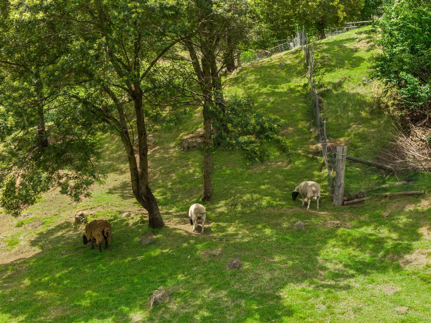 Additional image 24 of 33C Valetta Street, Moss Vale NSW 2577