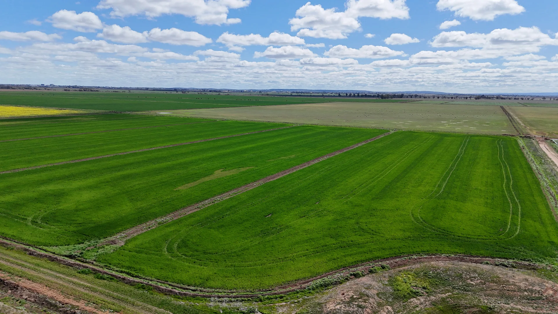 Additional image 4 of Farm 2526/408 Cashmere Road, Widgelli NSW 2680