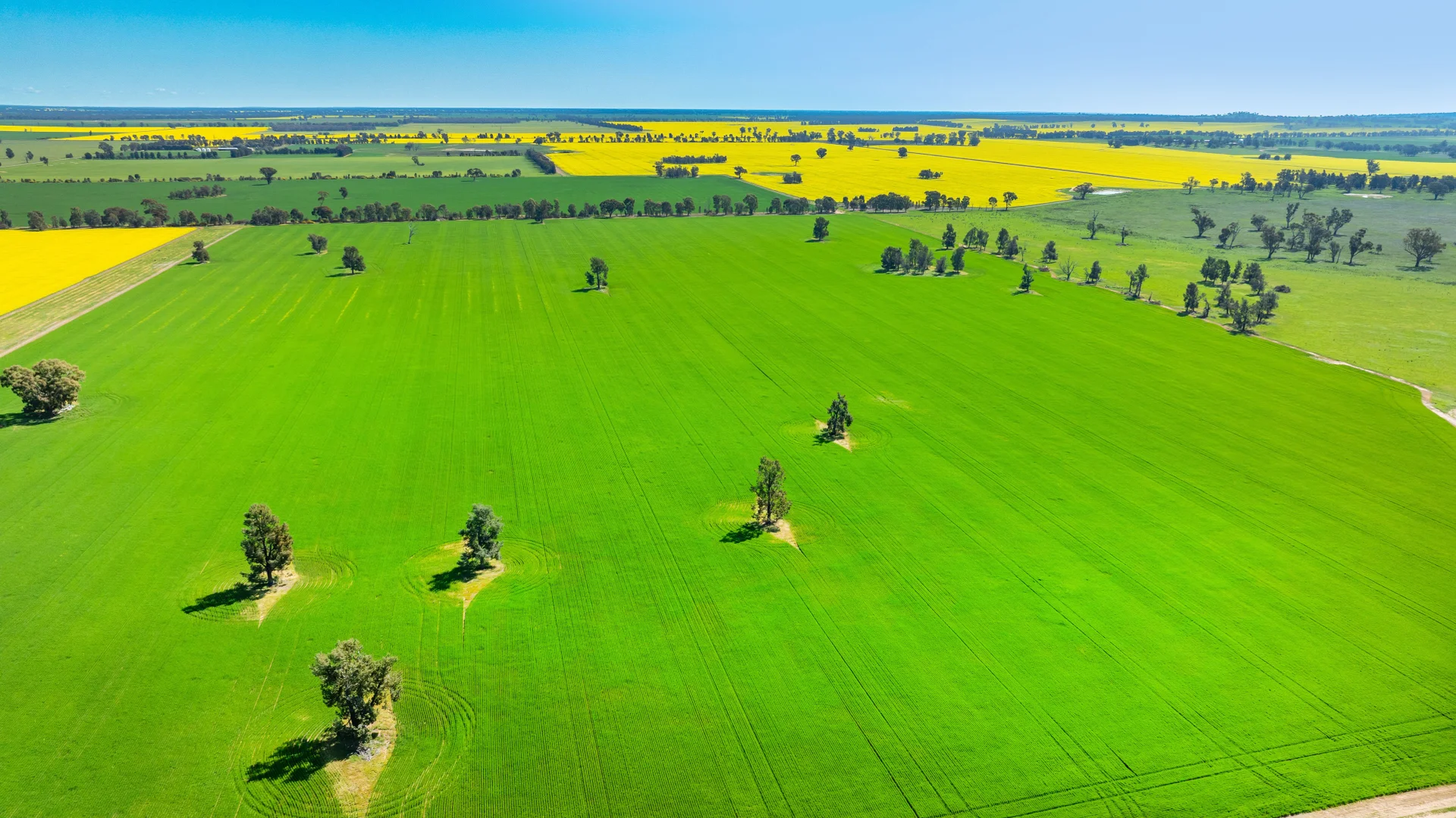 Additional image 21 of BOOROOL Mossdale Road, Balldale NSW 2646