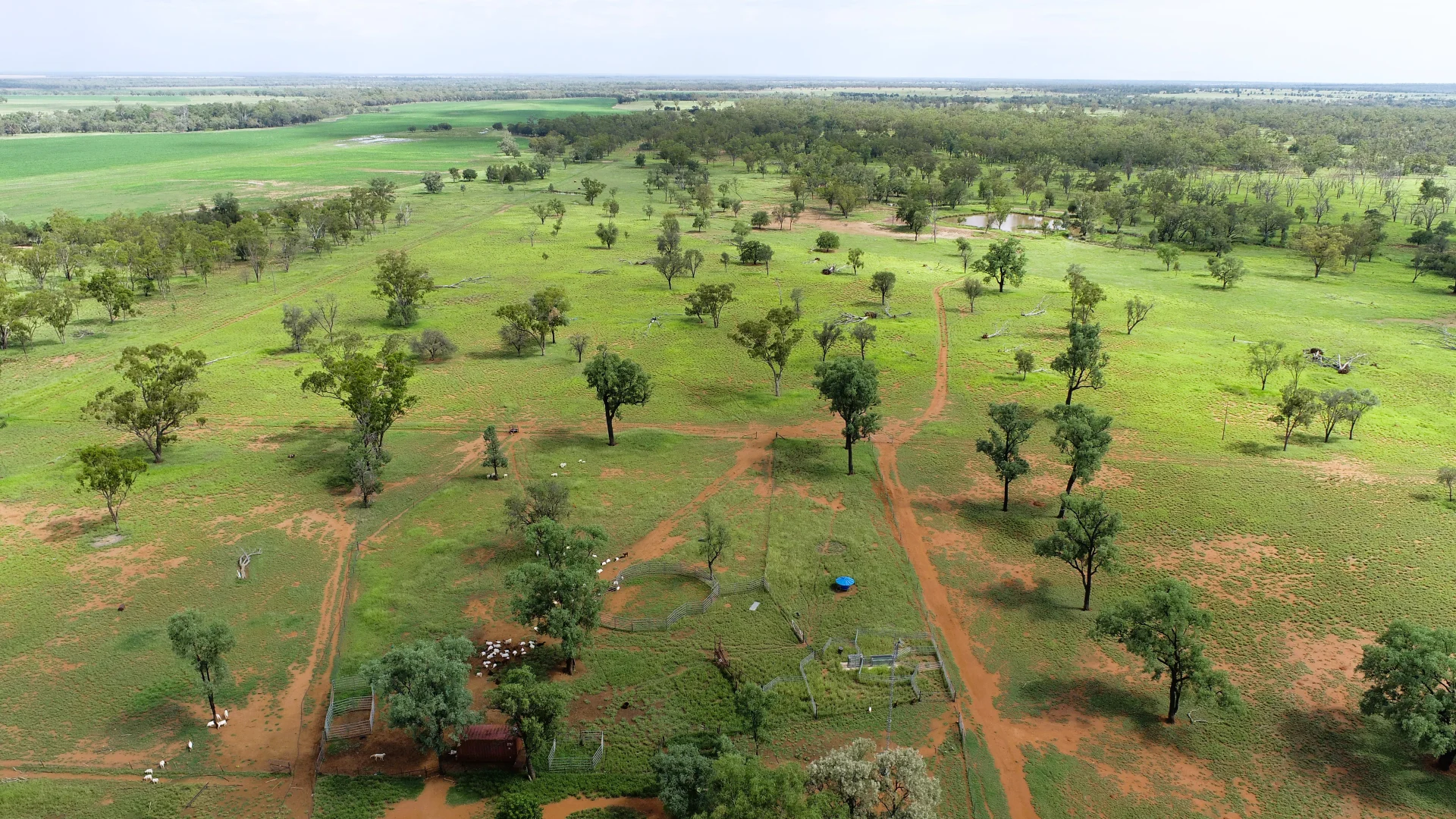 Additional image 6 of 'Gundi' 19181 Carnarvon Highway Highway, Surat QLD 4417