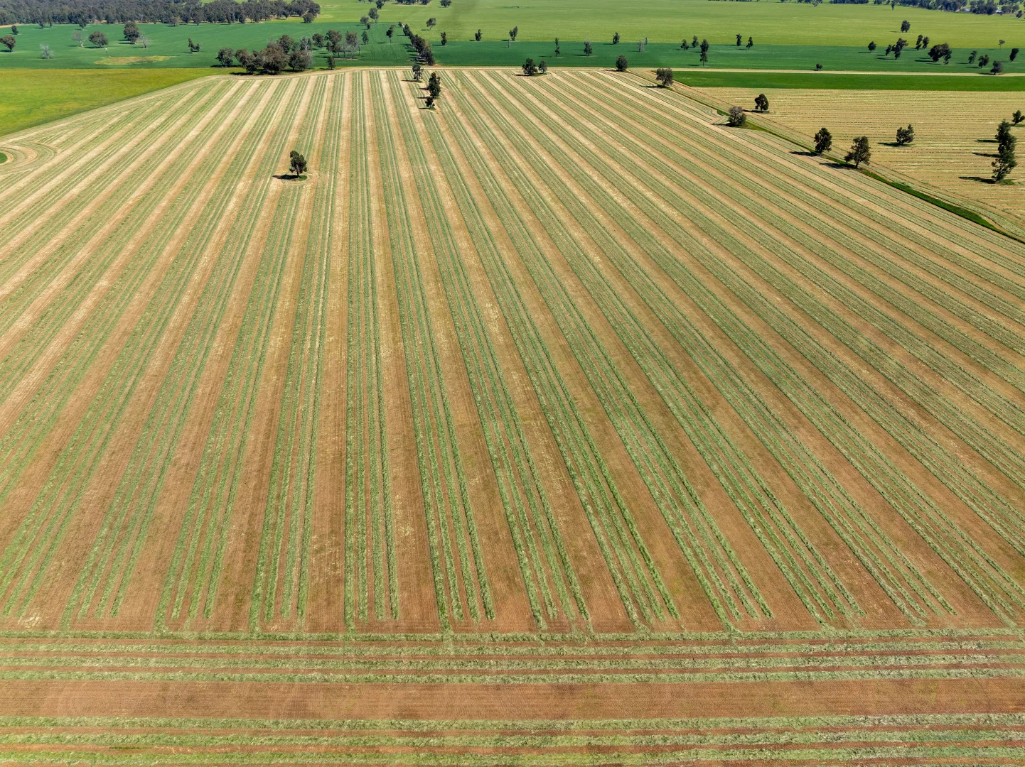 Additional image 11 of 1623 Redlands Road, Ringwood NSW 2646