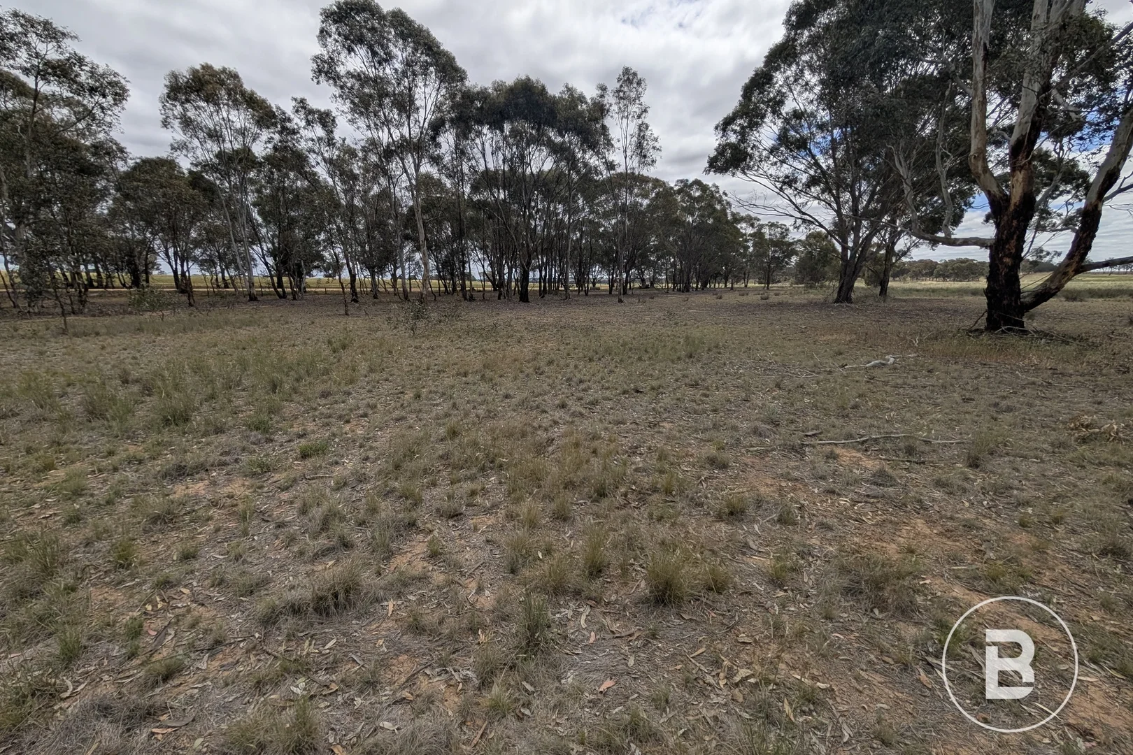 Additional image 8 of 5a Logan-Bealiba Road, Cochranes Creek VIC 3475