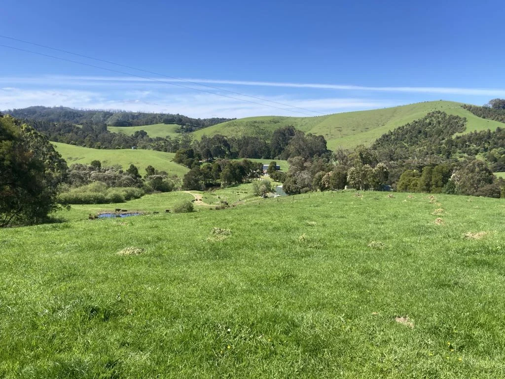 465 Woomera Creek Rd, Toora North VIC 3962