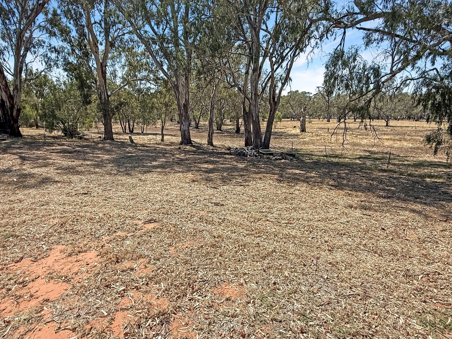 Additional image 16 of 21 Townsend Street, Narrandera NSW 2700