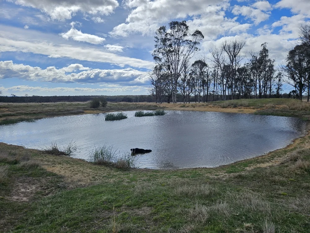 Additional image 9 of 710-712 Sinclairs RD, Munro VIC 3862