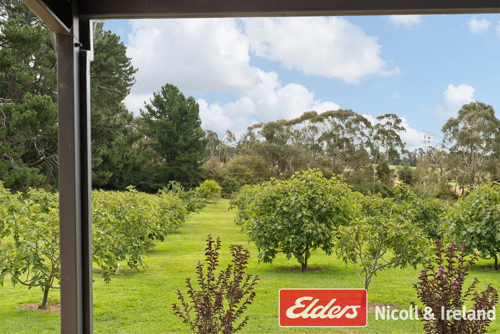 Additional image 29 of 42 Wallace Lane, Canobolas NSW 2800