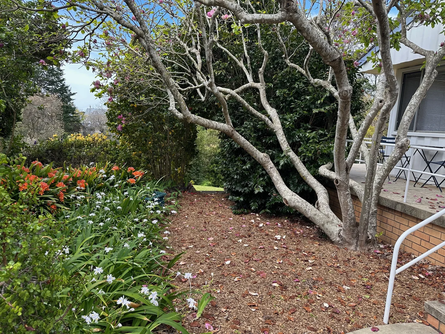 Additional image 14 of 4-6 Angle Place, Narooma NSW 2546