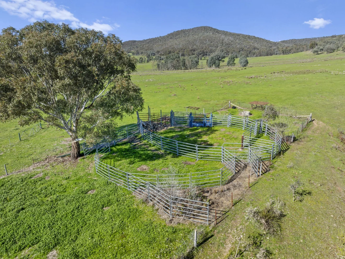 Additional image 3 of 500 Watchbox Creek Road, Molyullah VIC 3673