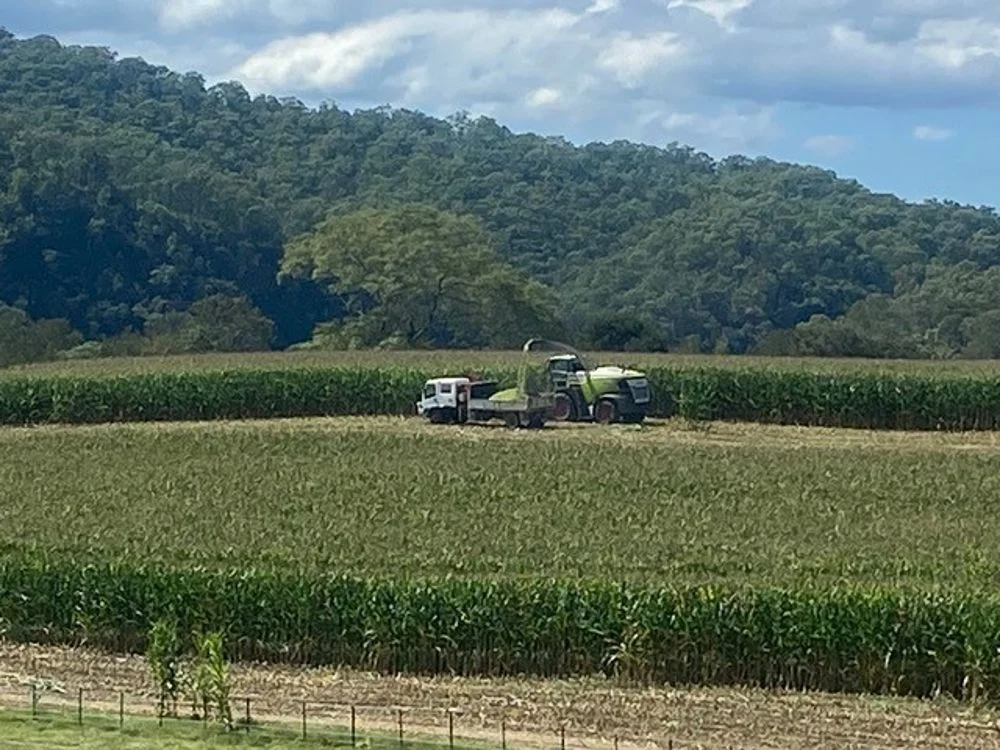 Additional image 4 of 800 Toms Gully Rd, Hickeys Creek NSW 2440