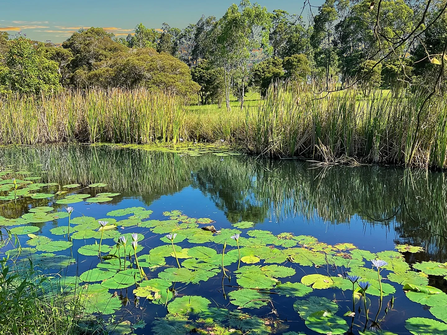 Additional image 2 of 64 Mooral Creek Road, Cedar Party NSW 2429
