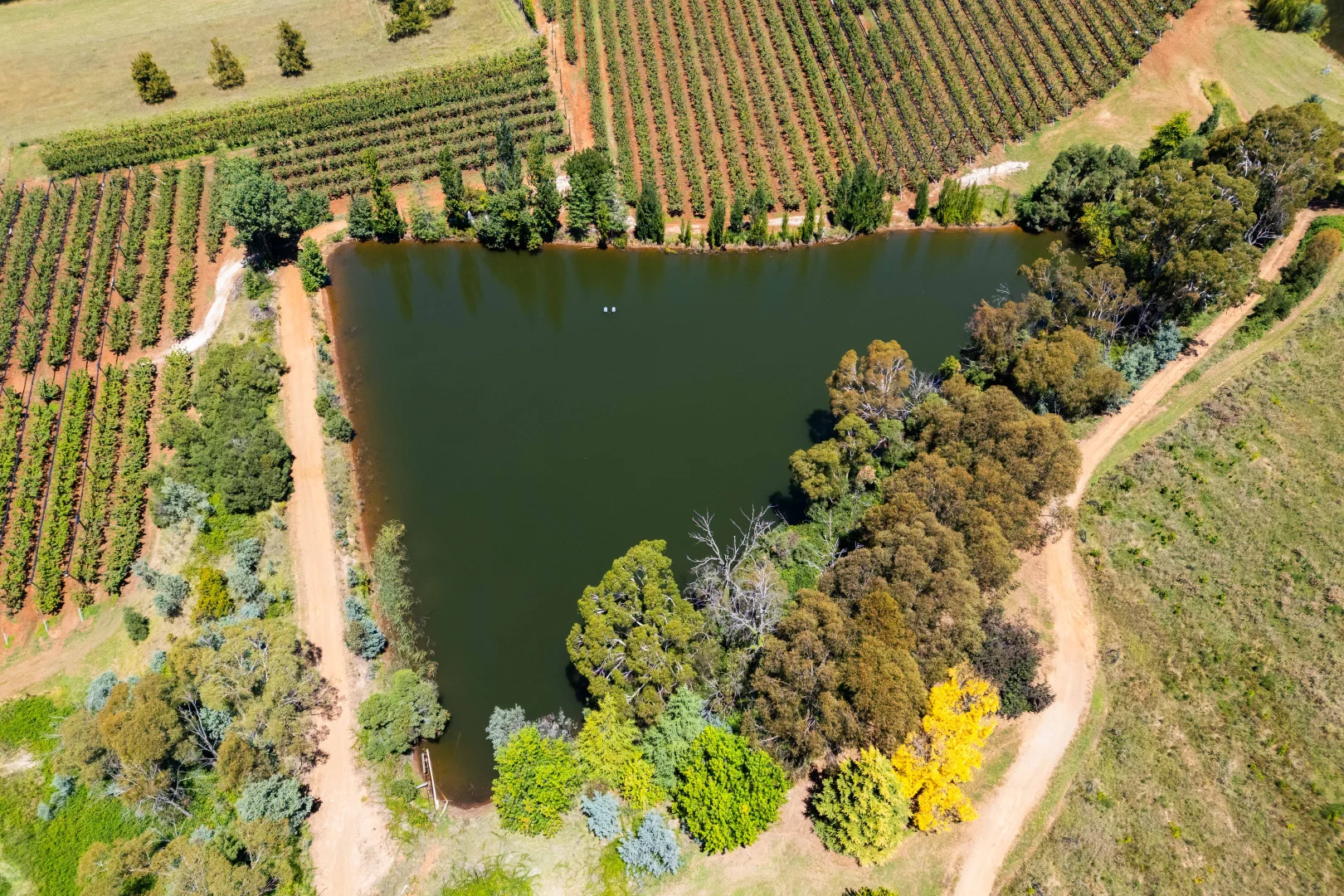 Additional image 3 of 293 Nancarrow Lane, Orange NSW 2800