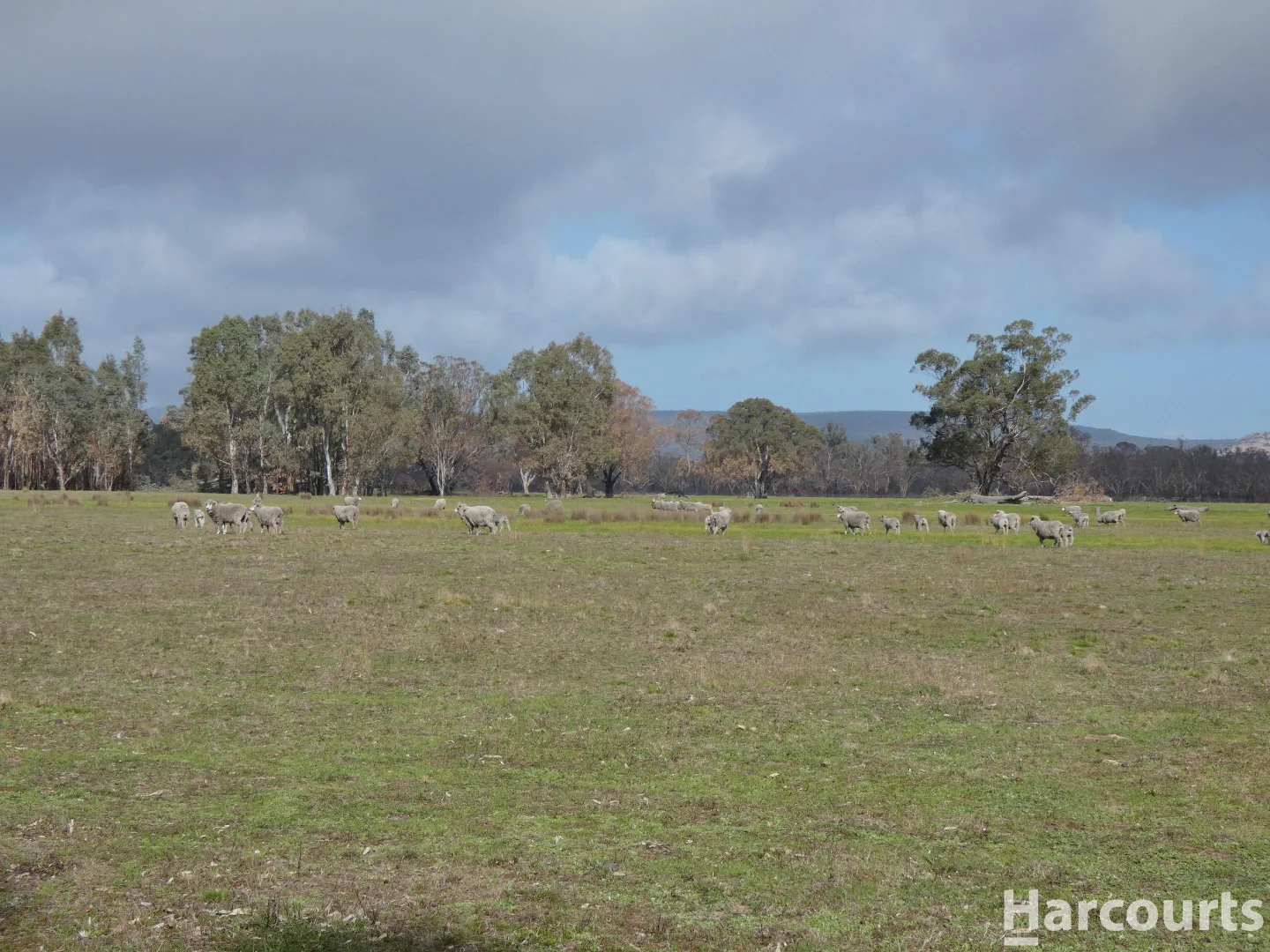 Additional image 6 of 6080 Western Highway, Dadswells Bridge VIC 3385
