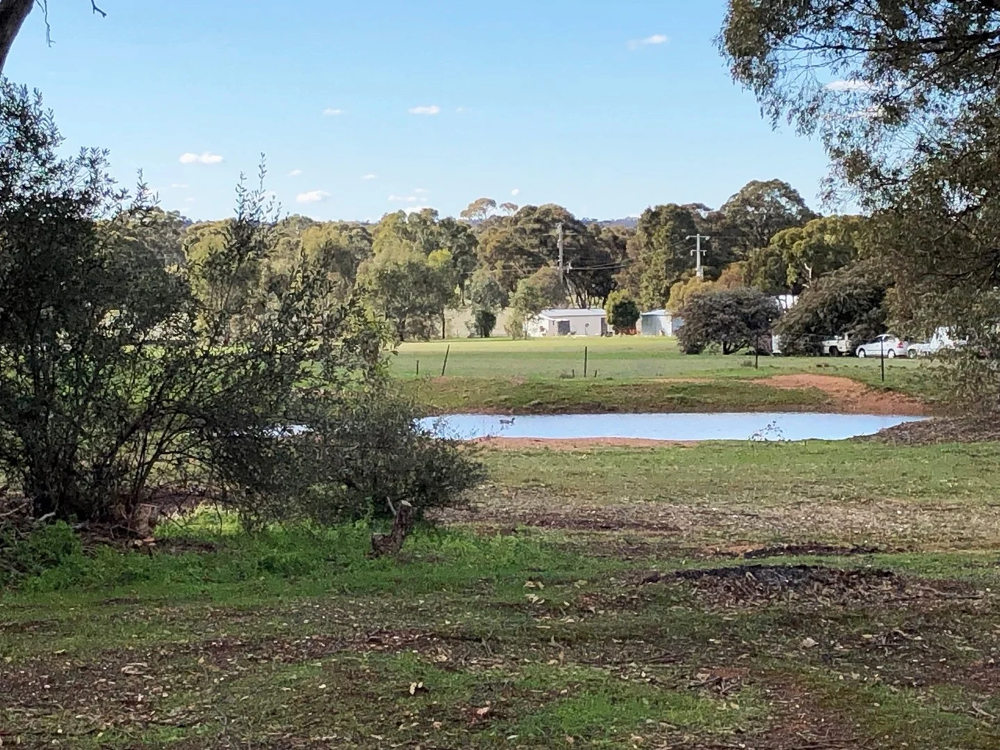 Additional image 3 of 79 Newbold Street, Wedderburn VIC 3518