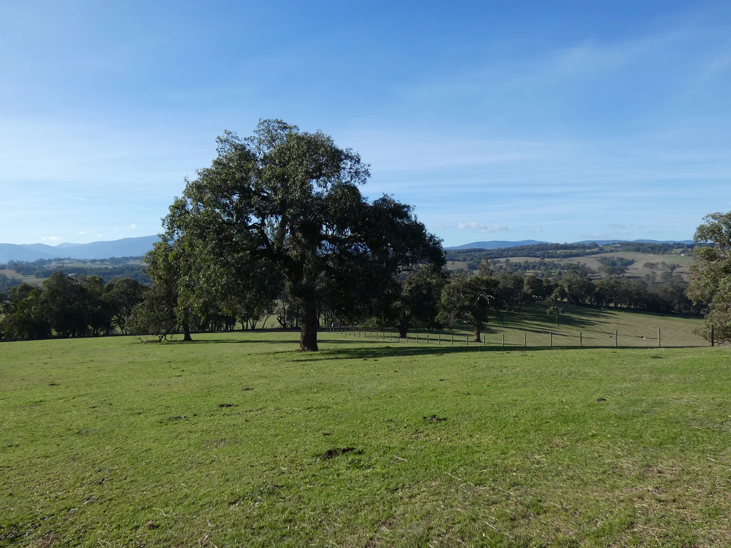 Additional image 11 of 10 Smiths Road, Yellingbo VIC 3139