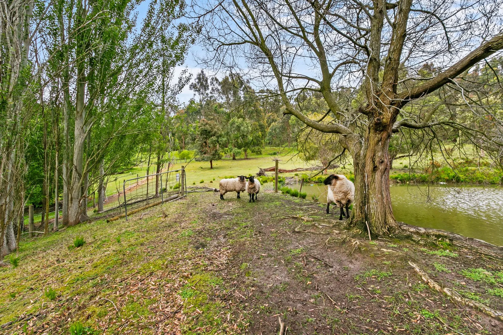 Additional image 33 of 415 Glendonald Road, Hazelwood South VIC 3840