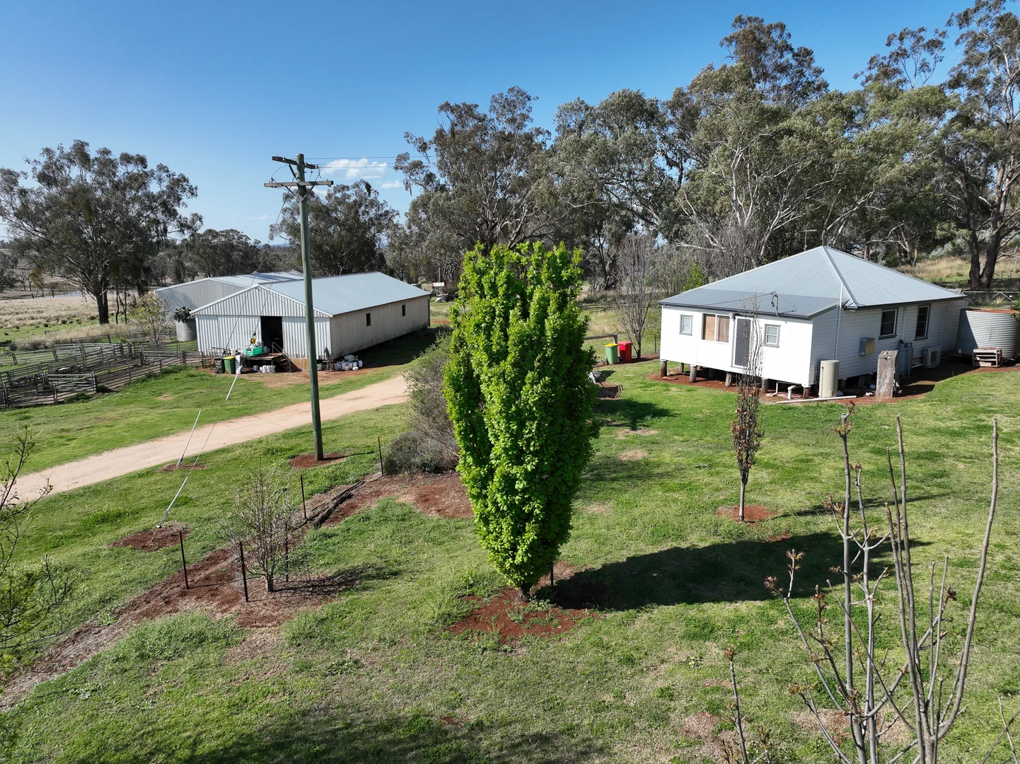 Additional image 18 of 4436 Yetman Road, Graman NSW 2360
