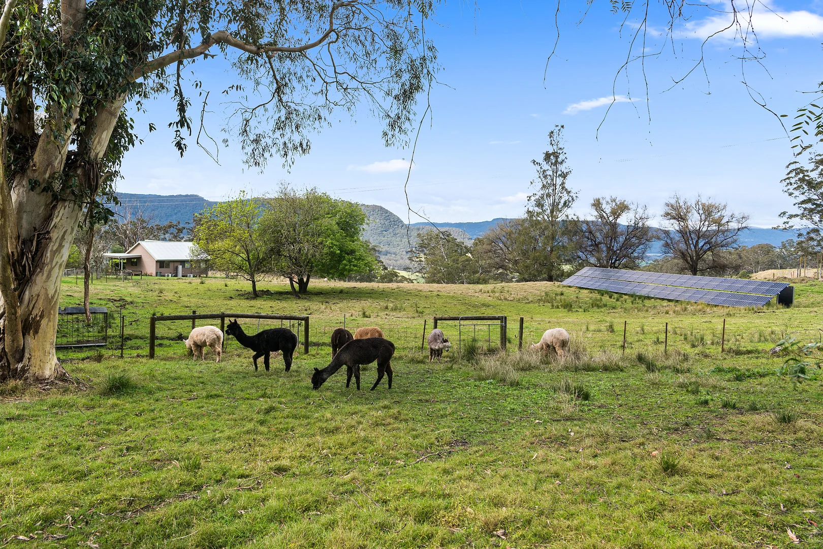 Additional image 40 of 94 Paddington Lane, Kangaroo Valley NSW 2577