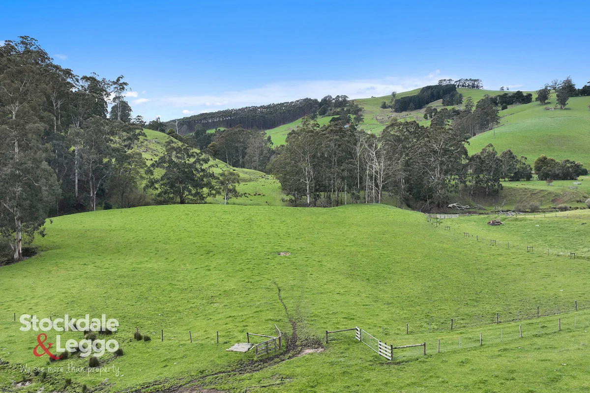 Additional image 25 of 140 Mirboo - Yarragon Road, Allambee South VIC 3871