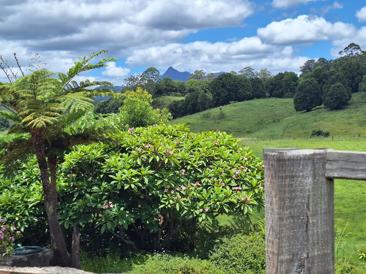 Additional image 12 of 291 Upper Crystal Creek Road, Crystal Creek NSW 2484