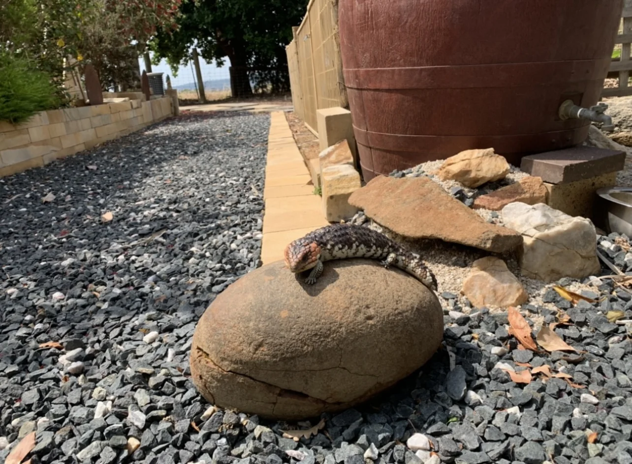 Additional image 18 of 20030 South Western Highway, Newlands WA 6251